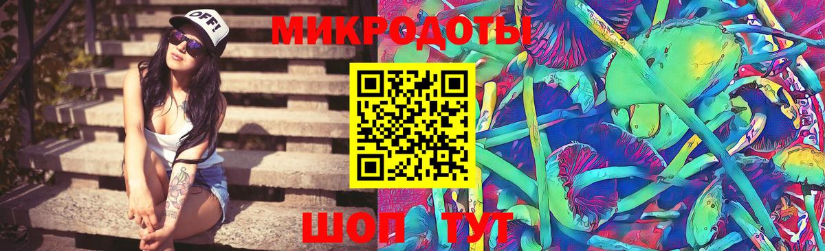 Псилоцибиновые грибы MAGIC MUSHROOMS  Вход с VPN  Котовск  Псилоцибиновые грибы прущие грибы 